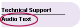 Audio Text